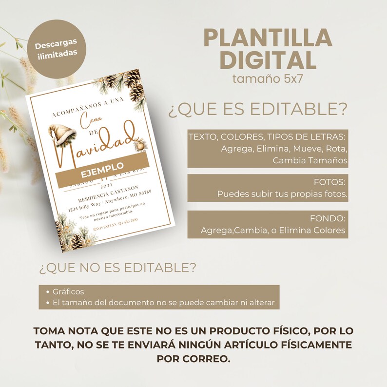 Spanish christmas dinner invitation silver noche buena fiesta de