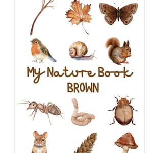 Nature Book/ Forest School /Homeschool / Brown Nature Book
