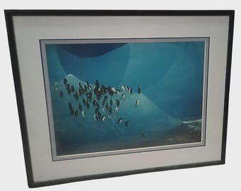 Pinguin Wand Kunst Künstler signierter Druck Eingerahmt Artic Wildlife Pinguin Eisberg Dekor