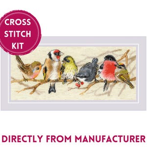 Könnte beinhalten: Kreuzstich-Set mit einer Gruppe bunter Vögel, die auf einem Ast sitzen. Die Vögel sind verschiedene Arten, darunter ein Rotkehlchen, ein Stieglitz und ein Blaumeise. Das Set enthält alle Materialien, die zum Fertigstellen des Projekts benötigt werden, einschließlich Stickgarn, Stoff und Anleitung.