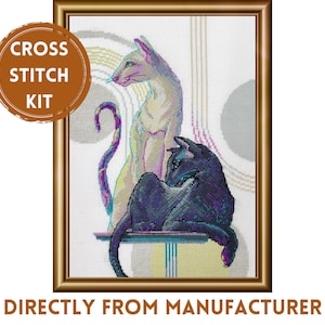 Aine Counted Cross Stitch Kit A1011 Mystical Cats, Embroidery Kit Picturing White and Black Shorthair Cats, Looking in One Direction
