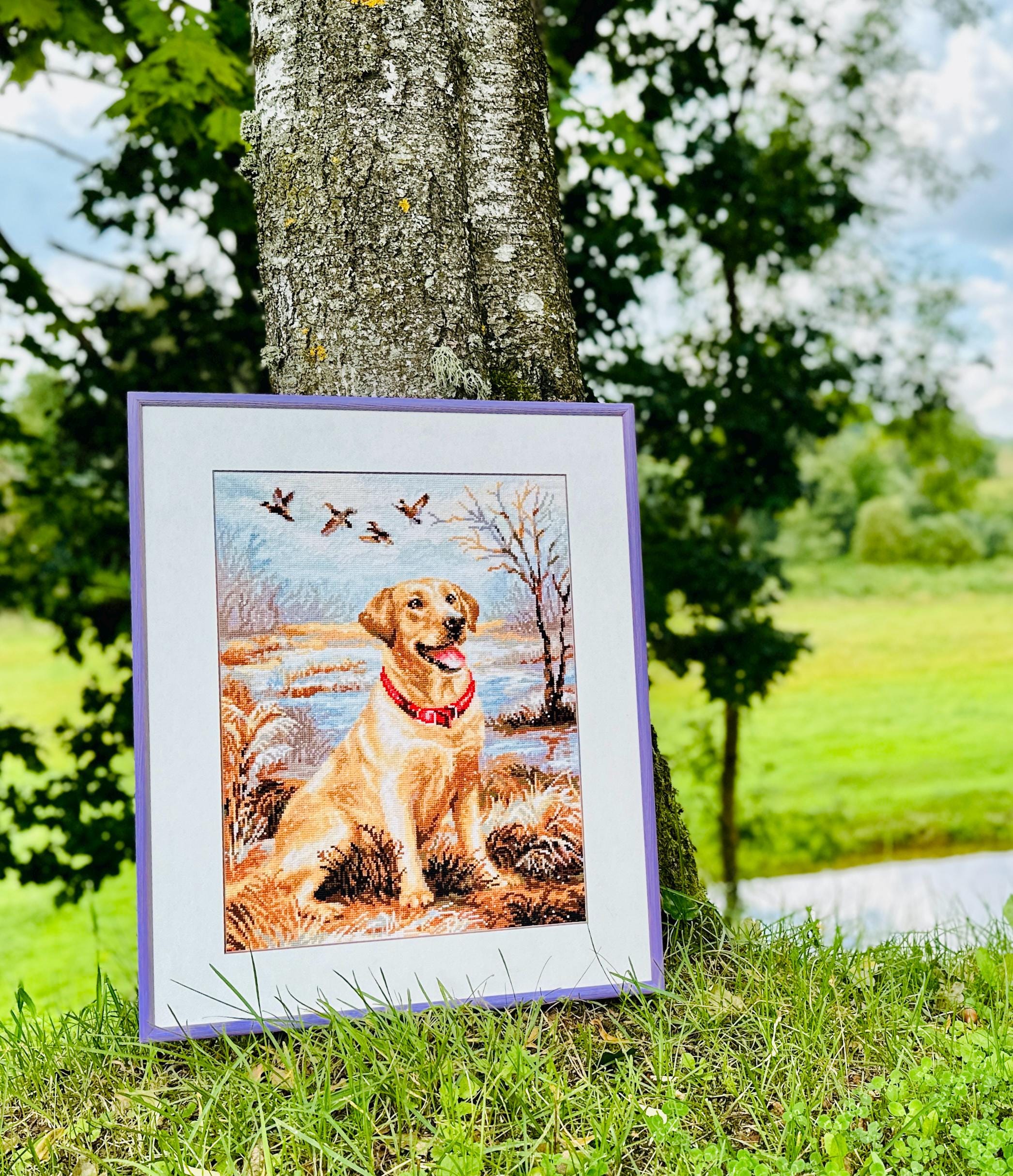 RIOLIS クロスステッチキット 1399 ラブラドール、川辺に座る愛らしい