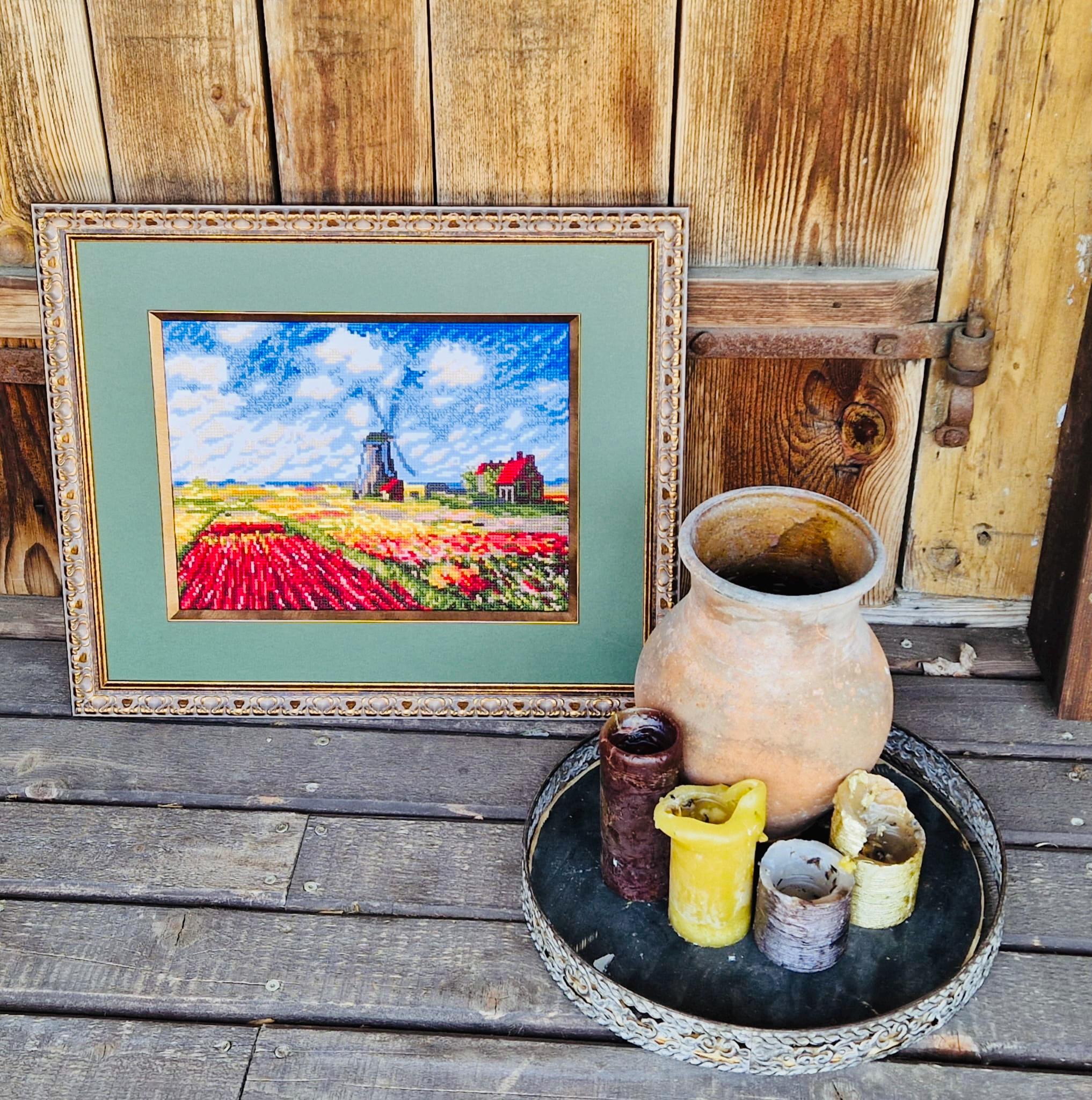 Un Champ Des Tulipes Roses Et Blanches Dans Le Polder Photo Stock