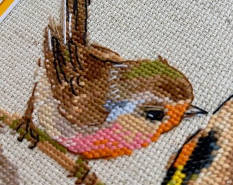 Kit Point De Croix Complet Débutant - Oiseaux Colorés Joyeux 30x30 Cm, Toile Pré-imprimée 11CT, Loisirs Créatifs Relaxants Pour Adultes