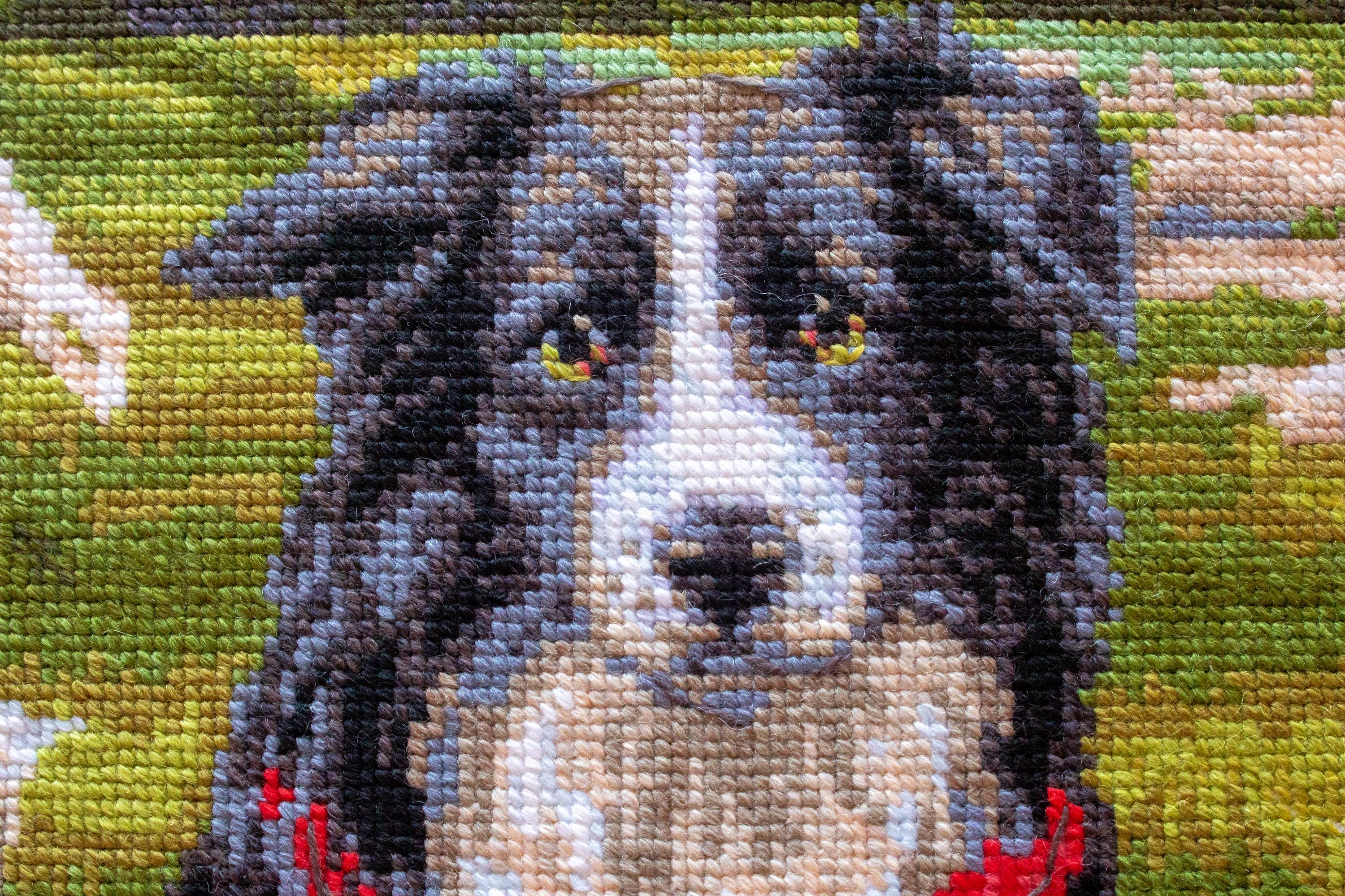 Kit Point De Croix Riolis Border Collie - Motif Chien, Comptage, Aida 14ct