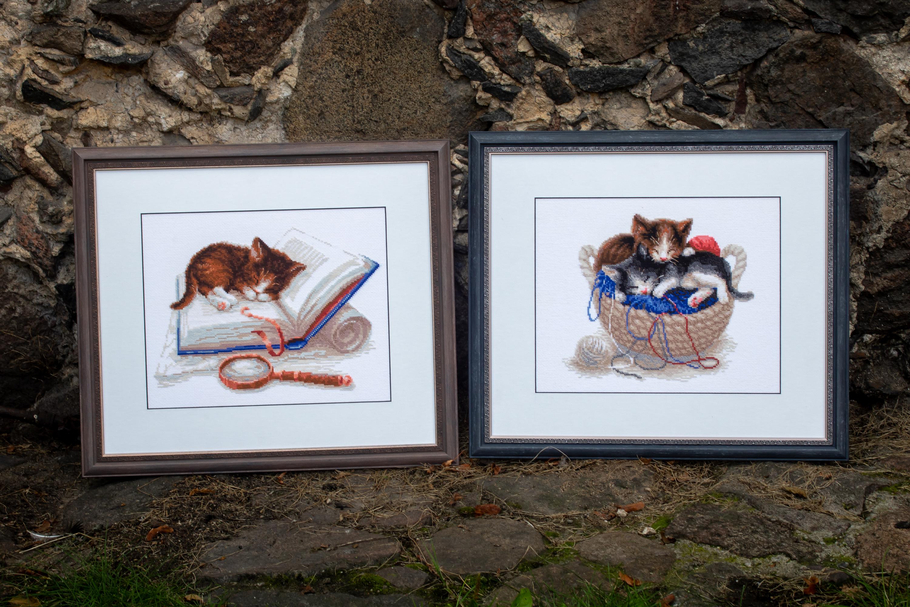 Kit De Punto De Cruz De Riolis 1811 Gato Con Gatitos Al Por Mayor