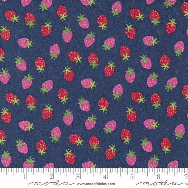 Rainbow Garden Strawberry Blueberry by Abi Hall for Moda Fabrics 35365 18, 1/2 yard increments
