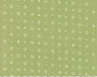 Abloom X O Dots Cucumber by Corey Yoder of Moda Fabrics, 29215 27, 1/2 yard increments