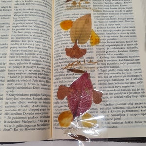 This bookmark is made from naturally pressed flowers, it's look really very beautiful!
It's an ideal gift for books reader!
There are no chemical colours used. Flowers are collected and pressed very carefully. Handmade bookmark.