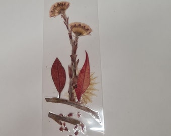 Bookmark, Pressed Flower bookmark, handmade book accessories, birthday gift for her, dried wildflowers, marque page, gift