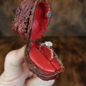 Walnut Ring Box with Eyes | Nut Box for Engagement Ring | Unique Jewelry Box | Eco Proposal Ring Box with Stand | Keepsake proposal box