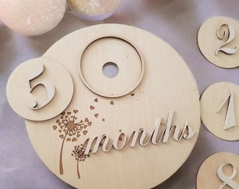 Baby Milestone Plaque Set CNC file for laser cutters 13 Wooden Baby Milestone Cards SVG Baby Monthly Disc Card Template for Laser Cut