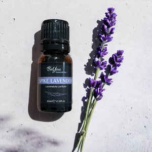 Pode incluir: Um pequeno frasco de vidro castanho com uma tampa preta e um rótulo branco que diz "BeYou Essential Oils" e "SPIKE LAVENDER Lavandula Latifolia" com uma medida de "10ml e 0.33fl.oz". À direita do frasco, há um ramo de flores de lavanda roxas.