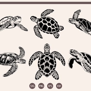 Sea Turtle svg Bundle , Sea Turtle svg, Sea Turtle Clipart, Tortoise svg, png