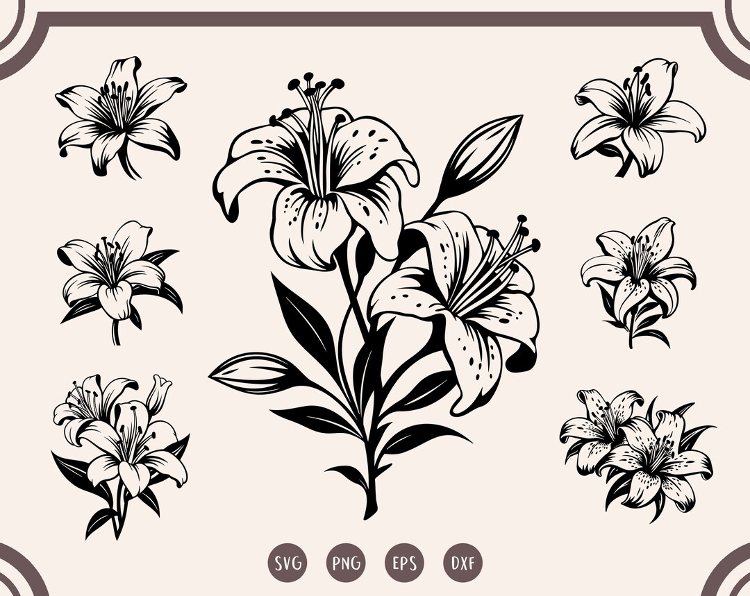 Lily Svg Bundle, Lily Flower Svg, Lily Cut File Svg, Png - Etsy