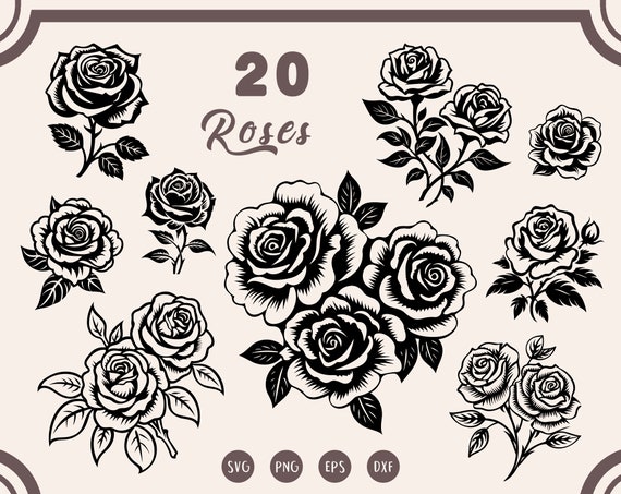 Rose svg Bundle, Rose svg, Rose Clipart, Rose svg, Flower svg, Flower Clipart, Floral svg, Roses svg, Flowers svg, png