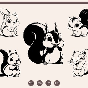 Squirrel svg, Squirrel svg Bundle,  Cute Squirrel svg, Squirrel Silhouette svg, png