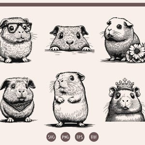 Guinea Pig svg, Guinea Pig svg Bundle, Glowforge Files, Laser Engrave Files, Cute Guinea Pig svg, png