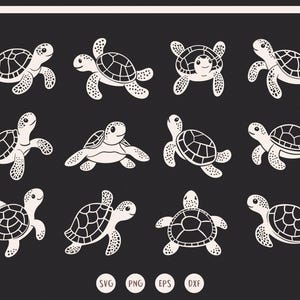 Sea Turtle svg, Cute Sea Turtle svg, Turtle svg Bundle , Baby Turtle svg, Ocean Turtle svg, png
