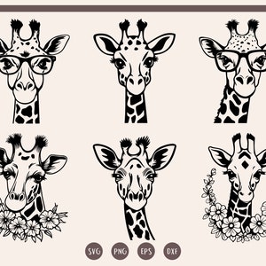 Giraffe Head svg, Funny Giraffe svg Bundle, Giraffe face svg, Cute Giraffe svg, png