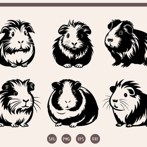 May include: Six black and white silhouette illustrations of guinea pigs in various poses. The guinea pigs are facing forward, sideways, and in profile.