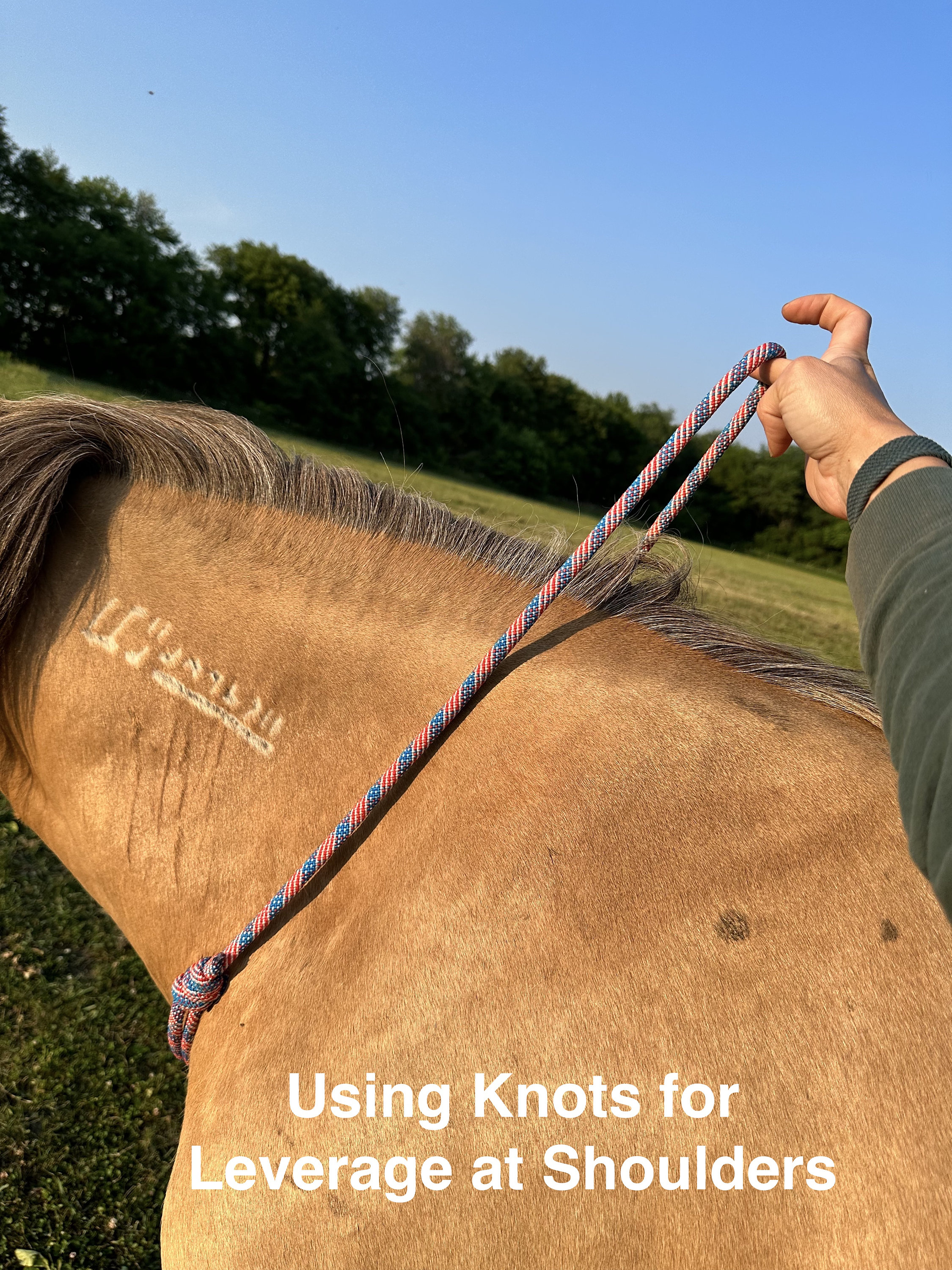 Corde De Cou Artisanale Cordeo Pour Cheval/Poney - Éthologique, Taille Au Choix, Neuve
