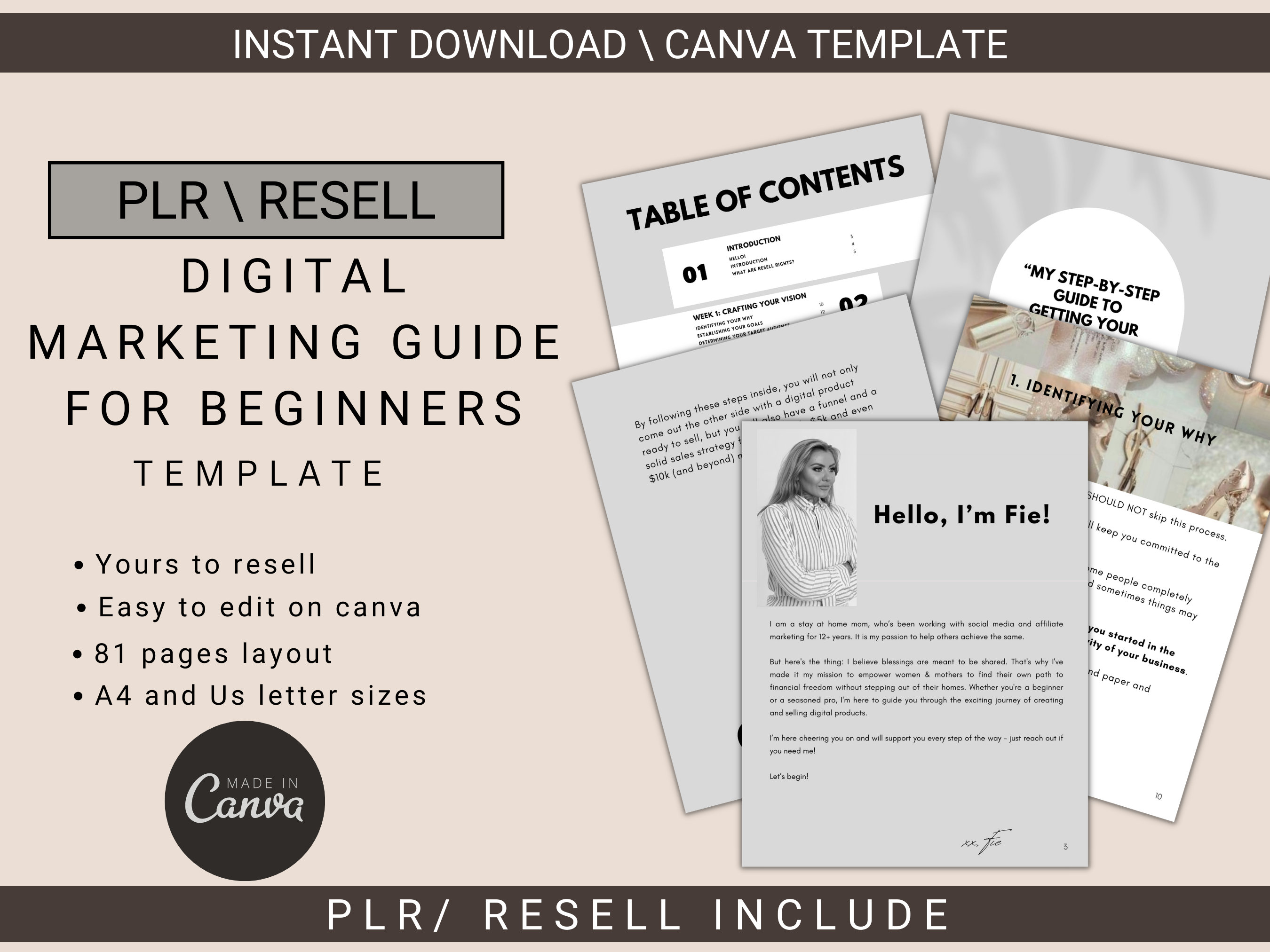 MRR product Course Master Resell Rights Digital marketing Guide For Beginners