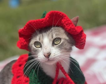 Crochet Strawberry Hat & Matching Cape