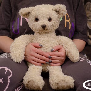 May include: A person is holding a beige teddy bear with brown eyes. The bear is sitting on the person's lap. The person is wearing a gray shirt with a pink and purple design. The person's hands are visible, and they are holding the bear tightly.