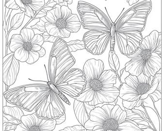 Butterflies Coloring Pages – 20 Digital Drawings in PNG – Relaxing and Detailed Art for Adults and Kids