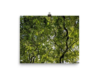 Oak tree design poster small 8" x 10" - Exclusive forest leaves image - Green woodland oak leaf picture - Relaxing oak woods wall art