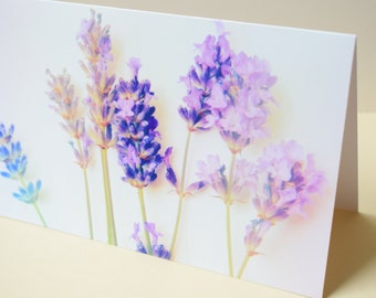 Lavender card 5 pack Offer - Blank greetings cards with pretty lavender flower stems image - Purple floral card for her UK