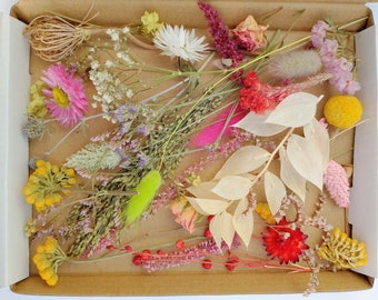 Dried flowers pack for craft - A5 flat box filled with 20 small dry flowers - Tiny blooms and grasses for DIY floristry