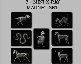 May include: A set of seven mini X-ray magnets featuring animal skeletons. The magnets include a T-Rex, cat, snake, chicken, dog, horse, and bull. Each magnet is square with a black background and a white X-ray image.