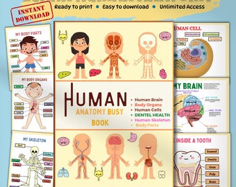Libro de actividades de anatomía humana para niños pequeños / Aprender las partes del cuerpo imprimible / Actividad científica preescolar / Carpeta de aprendizaje en casa (PDF)