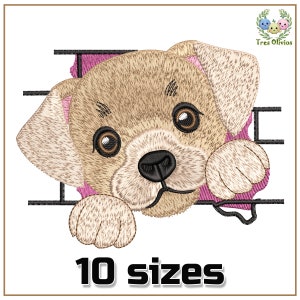 May include: Embroidered design of a brown puppy peeking out of a pink and black frame. The puppy has brown fur, black eyes, and a black nose. The text "10 sizes" is below the puppy.