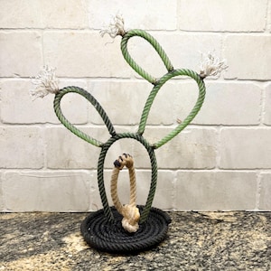 Lariat Rope Cactus