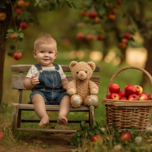 Puede incluir: Un niño pequeño con un mono azul se sienta en un banco de madera con un oso de peluche marrón. Una cesta de mimbre llena de manzanas rojas se encuentra en el suelo junto al banco.
