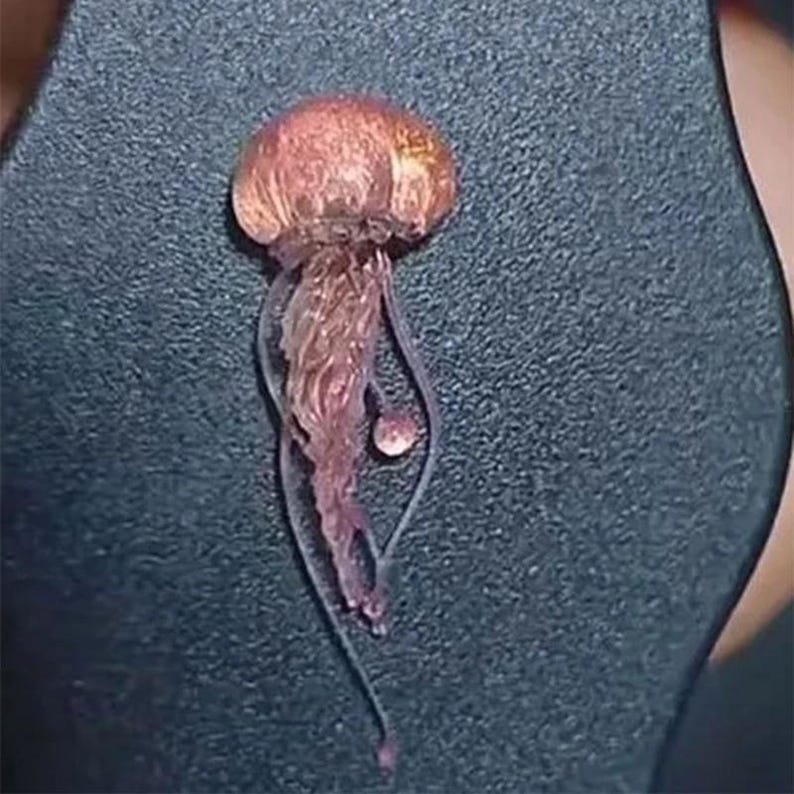 Puede incluir: Una peque&ntilde;a medusa transl&uacute;cida con una campana marr&oacute;n rojiza y tent&aacute;culos colgantes. La medusa tiene una apariencia delicada, casi et&eacute;rea, con una peque&ntilde;a estructura redonda cerca de la base de sus tent&aacute;culos. El fondo es una superficie oscura y texturizada.