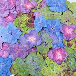 Flores secas de hortênsia, conjunto de 12 peças, prensadas naturais, várias cores, enchimento de molde de resina para capa de telefone, materiais de artesanato para scrapbooking