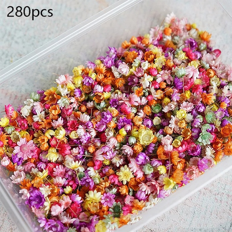 Peut inclure: Une image en gros plan d'un r&eacute;cipient rempli de 280 fleurs s&eacute;ch&eacute;es. Les fleurs sont d'un m&eacute;lange de couleurs, notamment rose, violet, orange, jaune et blanc.