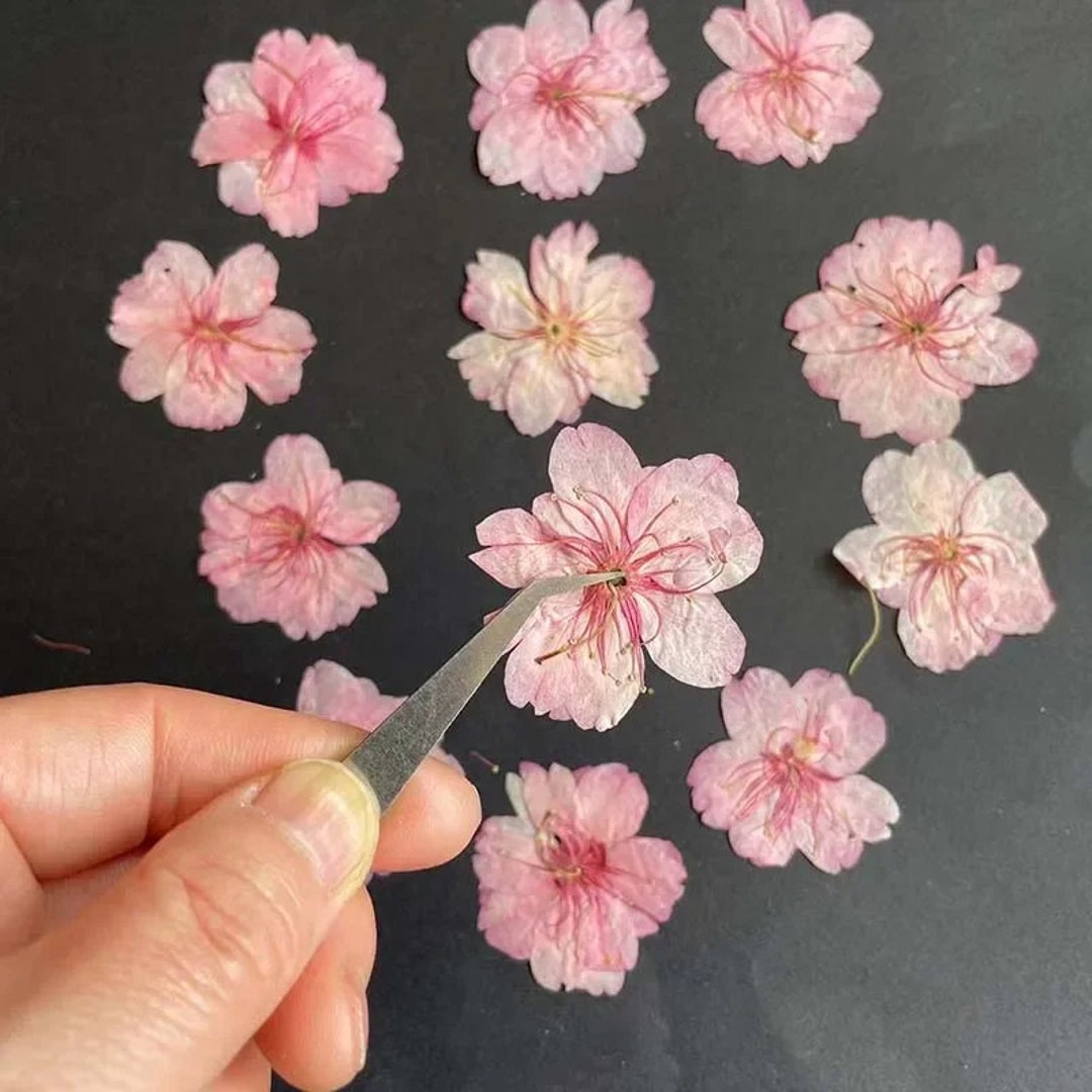 Mini fleurs séchées, feuilles, végétaux et stickers pour bijoux en résine DIY - Perles & Co