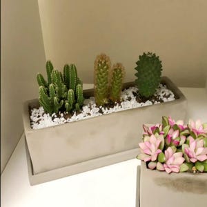 May include: A rectangular concrete planter box filled with various cacti and small white pebbles. The cacti are green and brown, with different shapes and sizes. Another planter with pink and green succulents is also visible.