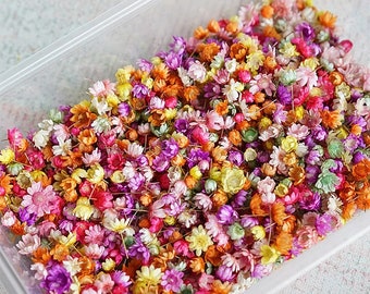 140/280 pièces fleurs séchées pressées, petite capitule colorée, pour bricolage fait main en résine époxy, fabrication de cartes, scrapbooking, fournitures créatives