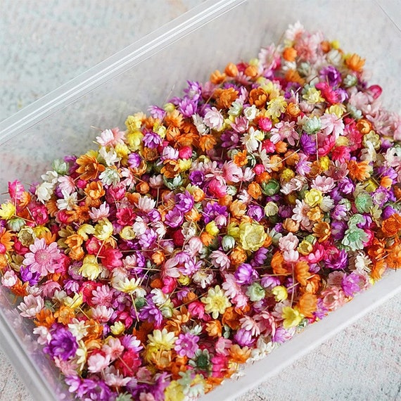 140/280pcs Dried Pressed Flower, Small Colorful Flower Head, for DIY Handmade Epoxy Resin Gift, Card Making, Scrapbooking, Craft Supplies