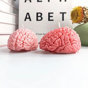 May include: Two pink brain-shaped candles. The candles are made of wax and have a realistic brain texture.