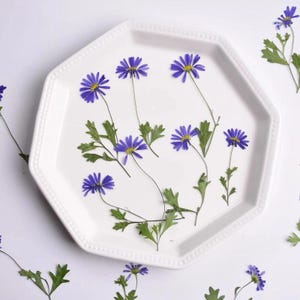 Op de afbeelding: Een wit zeshoekig keramieken bord met een kralenrand, versierd met verschillende geperste blauwe madeliefachtige bloemen met gele harten en groene bladeren die over het oppervlak zijn verdeeld, met extra losse bloemen buiten het bord geplaatst.