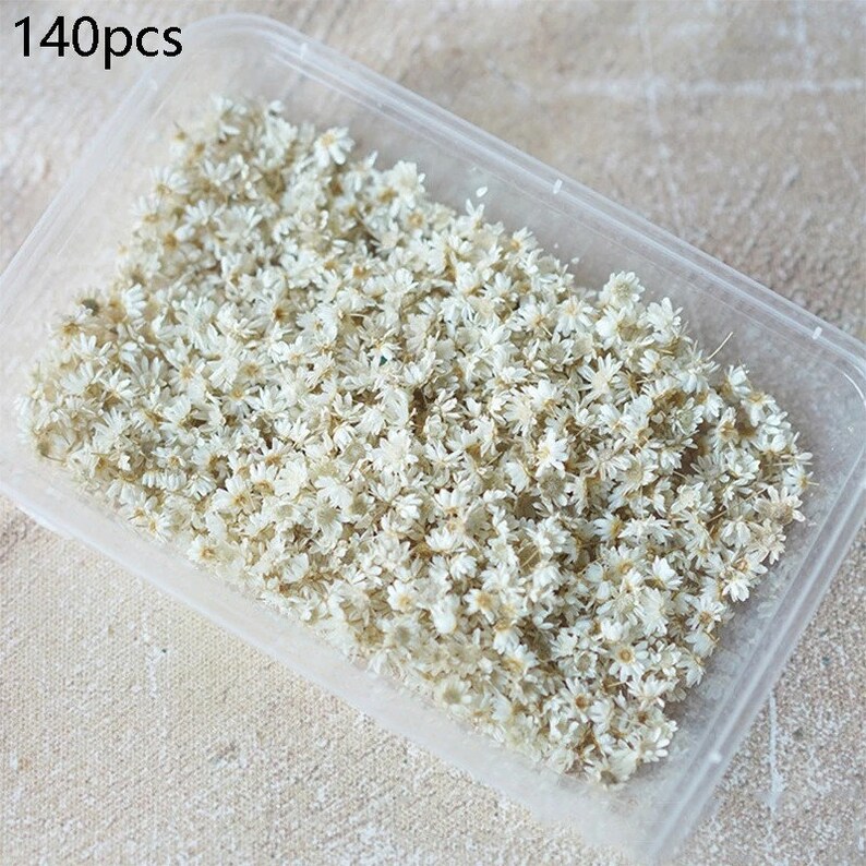 Peut inclure: Un r&eacute;cipient en plastique transparent rempli de 140 petites fleurs blanches s&eacute;ch&eacute;es. Les fleurs sont d&eacute;licates et ont un aspect naturel et rustique.