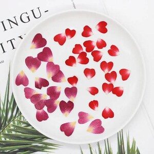 Fiori secchi veri pressati, 100 pezzi, petali di rosa a forma di cuore, creazione di gioielli, decorazione di biglietti regalo, segnalibri, design fai da te per custodie per telefoni