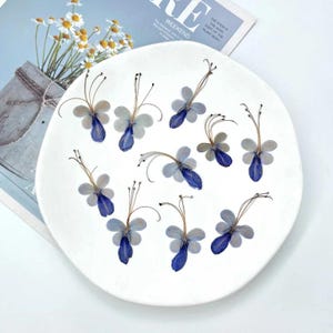 6Pcs Flores secas de borboleta azul prensadas, porta-copos de resina faça você mesmo, decoração de marcadores, fabricação de cartões de Natal, enfeite para casa, decoração de maquiagem facial